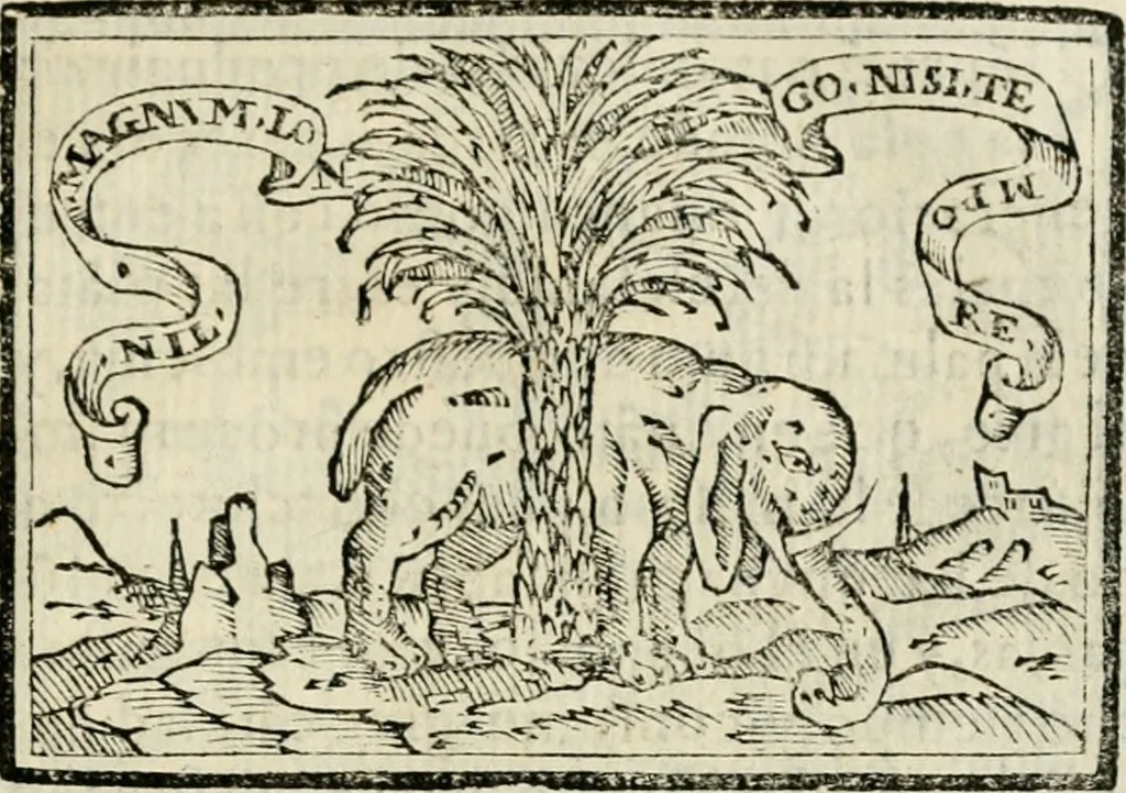 An illustration from Emblemas morales de Don Sebastian de Couarrubias Orozco, capellan del rey N.S. Maestrescuela, y canonigo de Cuenca, consultor del santo oficio, 1610, leaf 300