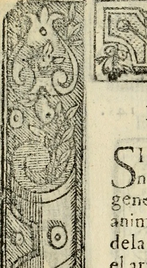 An illustration from Emblemas morales de Don Sebastian de Couarrubias Orozco, capellan del rey N.S. Maestrescuela, y canonigo de Cuenca, consultor del santo oficio, 1610, leaf 301