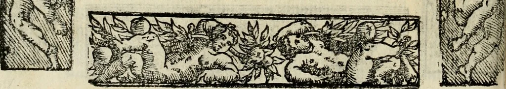 An illustration from Emblemas morales de Don Sebastian de Couarrubias Orozco, capellan del rey N.S. Maestrescuela, y canonigo de Cuenca, consultor del santo oficio, 1610, leaf 303