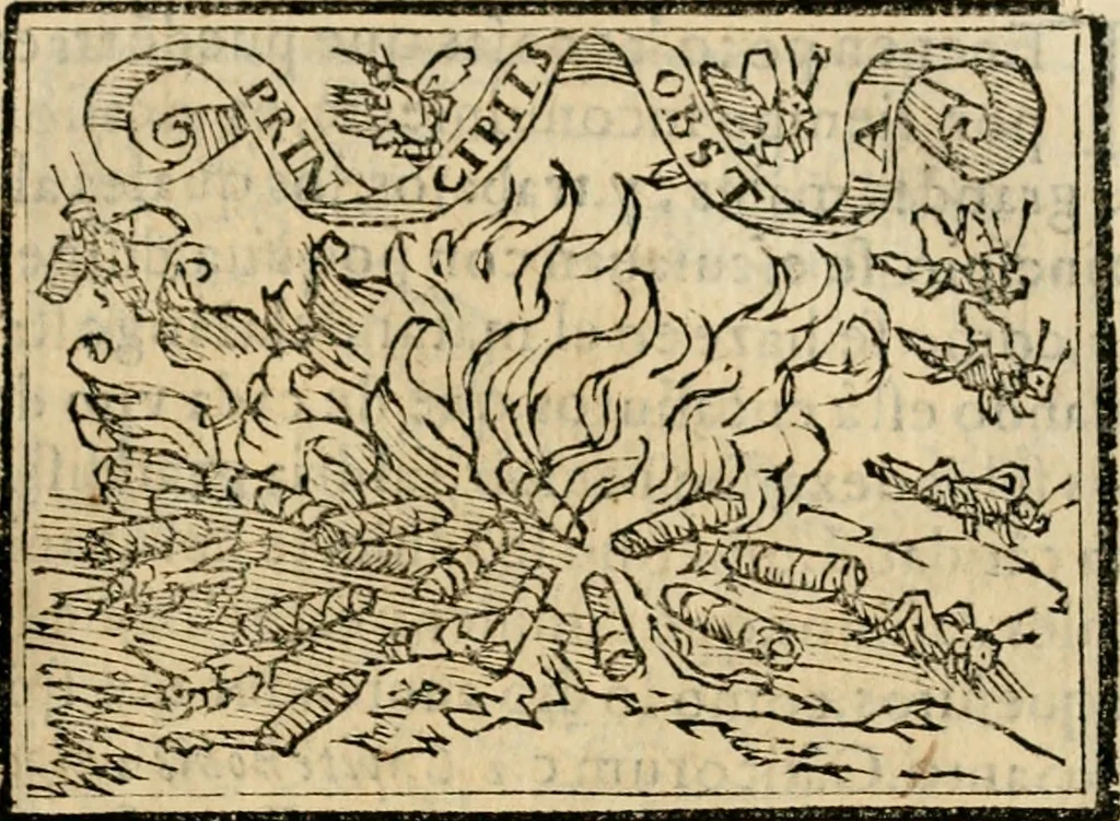 An illustration from Emblemas morales de Don Sebastian de Couarrubias Orozco, capellan del rey N.S. Maestrescuela, y canonigo de Cuenca, consultor del santo oficio, 1610, leaf 312