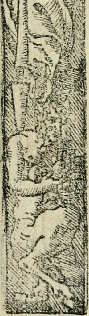 An illustration from Emblemas morales de Don Sebastian de Couarrubias Orozco, capellan del rey N.S. Maestrescuela, y canonigo de Cuenca, consultor del santo oficio, 1610, leaf 330