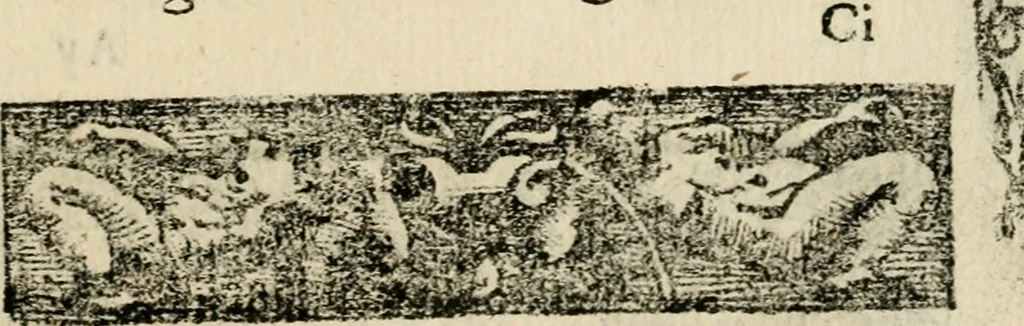 An illustration from Emblemas morales de Don Sebastian de Couarrubias Orozco, capellan del rey N.S. Maestrescuela, y canonigo de Cuenca, consultor del santo oficio, 1610, leaf 382