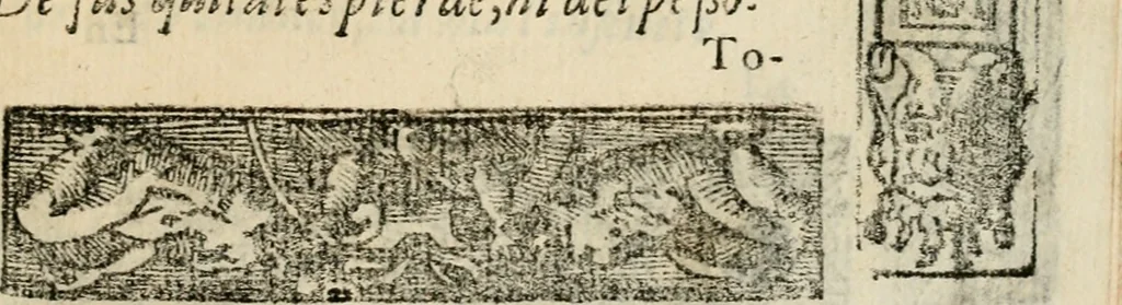 An illustration from Emblemas morales de Don Sebastian de Couarrubias Orozco, capellan del rey N.S. Maestrescuela, y canonigo de Cuenca, consultor del santo oficio, 1610, leaf 398