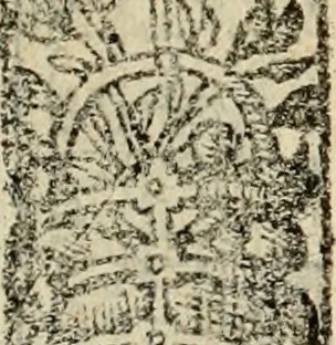 An illustration from Emblemas morales de Don Sebastian de Couarrubias Orozco, capellan del rey N.S. Maestrescuela, y canonigo de Cuenca, consultor del santo oficio, 1610, leaf 415