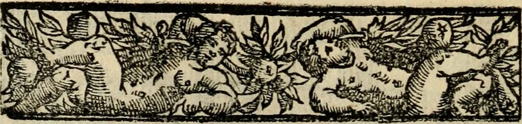 An illustration from Emblemas morales de Don Sebastian de Couarrubias Orozco, capellan del rey N.S. Maestrescuela, y canonigo de Cuenca, consultor del santo oficio, 1610, leaf 417