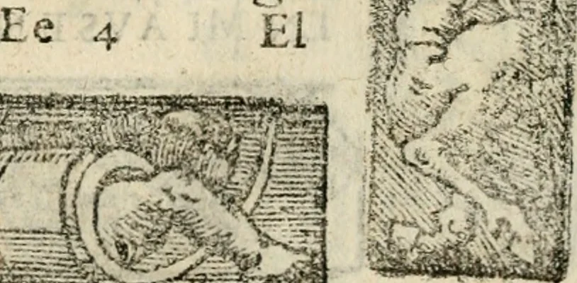 An illustration from Emblemas morales de Don Sebastian de Couarrubias Orozco, capellan del rey N.S. Maestrescuela, y canonigo de Cuenca, consultor del santo oficio, 1610, leaf 436