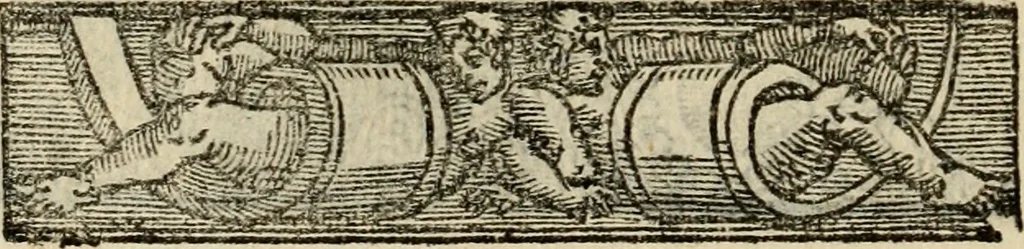 An illustration from Emblemas morales de Don Sebastian de Couarrubias Orozco, capellan del rey N.S. Maestrescuela, y canonigo de Cuenca, consultor del santo oficio, 1610, leaf 451