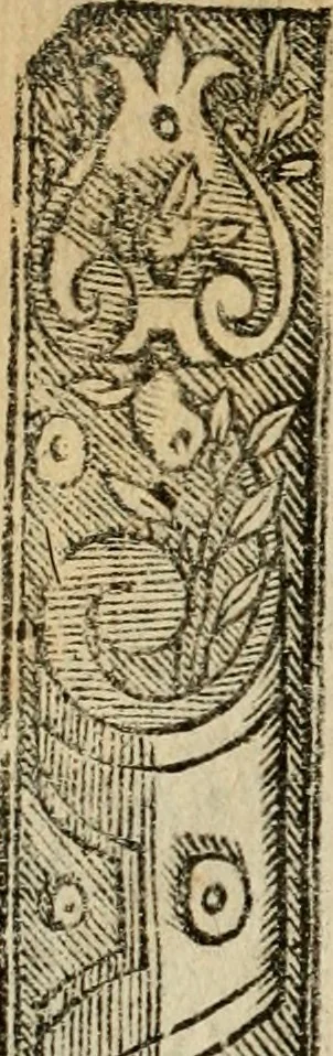 An illustration from Emblemas morales de Don Sebastian de Couarrubias Orozco, capellan del rey N.S. Maestrescuela, y canonigo de Cuenca, consultor del santo oficio, 1610, leaf 455