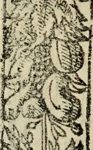 An illustration from Emblemas morales de Don Sebastian de Couarrubias Orozco, capellan del rey N.S. Maestrescuela, y canonigo de Cuenca, consultor del santo oficio, 1610, leaf 459