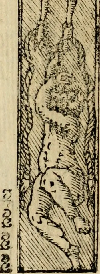 An illustration from Emblemas morales de Don Sebastian de Couarrubias Orozco, capellan del rey N.S. Maestrescuela, y canonigo de Cuenca, consultor del santo oficio, 1610, leaf 47