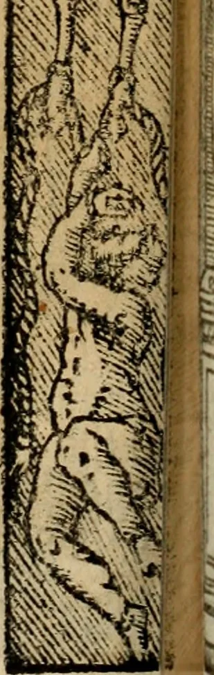 An illustration from Emblemas morales de Don Sebastian de Couarrubias Orozco, capellan del rey N.S. Maestrescuela, y canonigo de Cuenca, consultor del santo oficio, 1610, leaf 493