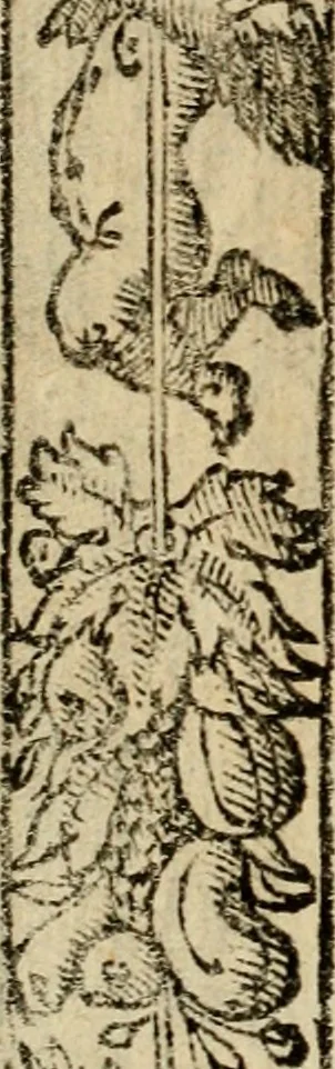 An illustration from Emblemas morales de Don Sebastian de Couarrubias Orozco, capellan del rey N.S. Maestrescuela, y canonigo de Cuenca, consultor del santo oficio, 1610, leaf 495