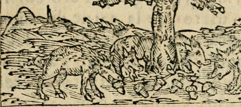 An illustration from Emblemas morales de Don Sebastian de Couarrubias Orozco, capellan del rey N.S. Maestrescuela, y canonigo de Cuenca, consultor del santo oficio, 1610, leaf 518