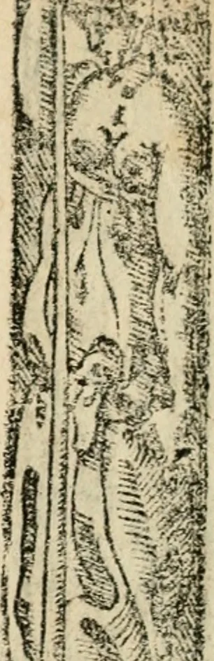 An illustration from Emblemas morales de Don Sebastian de Couarrubias Orozco, capellan del rey N.S. Maestrescuela, y canonigo de Cuenca, consultor del santo oficio, 1610, leaf 520