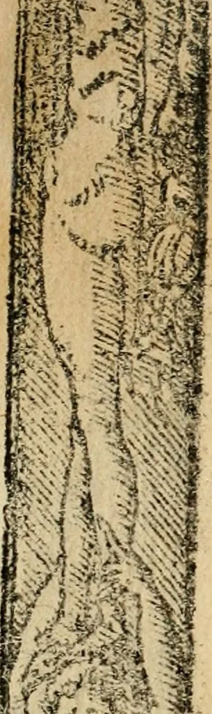 An illustration from Emblemas morales de Don Sebastian de Couarrubias Orozco, capellan del rey N.S. Maestrescuela, y canonigo de Cuenca, consultor del santo oficio, 1610, leaf 533