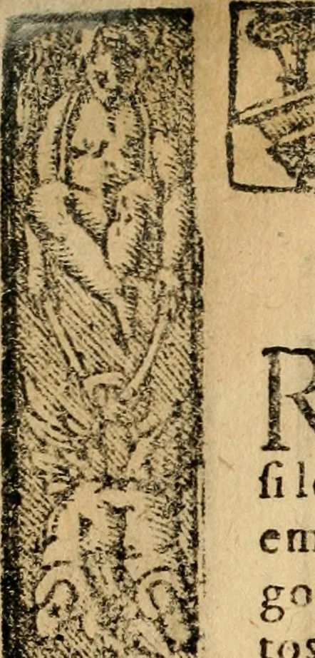 An illustration from Emblemas morales de Don Sebastian de Couarrubias Orozco, capellan del rey N.S. Maestrescuela, y canonigo de Cuenca, consultor del santo oficio, 1610, leaf 537