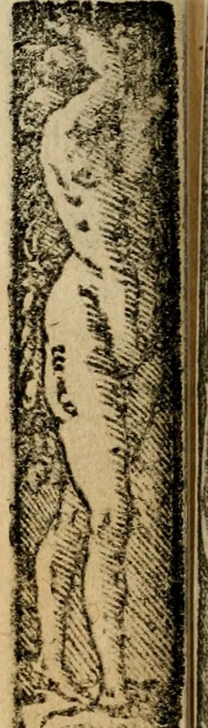 An illustration from Emblemas morales de Don Sebastian de Couarrubias Orozco, capellan del rey N.S. Maestrescuela, y canonigo de Cuenca, consultor del santo oficio, 1610, leaf 537
