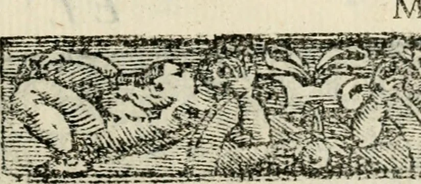 An illustration from Emblemas morales de Don Sebastian de Couarrubias Orozco, capellan del rey N.S. Maestrescuela, y canonigo de Cuenca, consultor del santo oficio, 1610, leaf 548