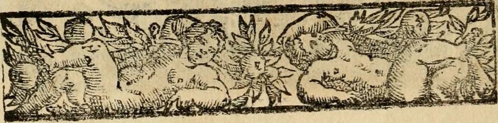 An illustration from Emblemas morales de Don Sebastian de Couarrubias Orozco, capellan del rey N.S. Maestrescuela, y canonigo de Cuenca, consultor del santo oficio, 1610, leaf 597