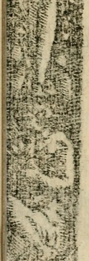 An illustration from Emblemas morales de Don Sebastian de Couarrubias Orozco, capellan del rey N.S. Maestrescuela, y canonigo de Cuenca, consultor del santo oficio, 1610, leaf 604