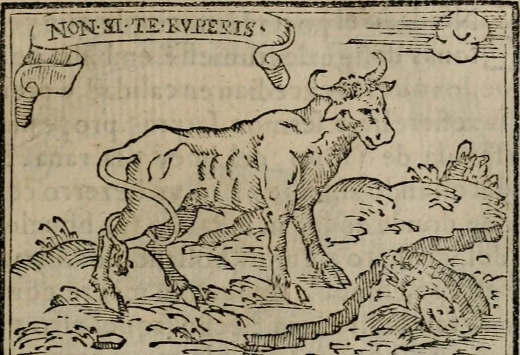 An illustration from Emblemas morales de Don Sebastian de Couarrubias Orozco ..., 1610, leaf 100