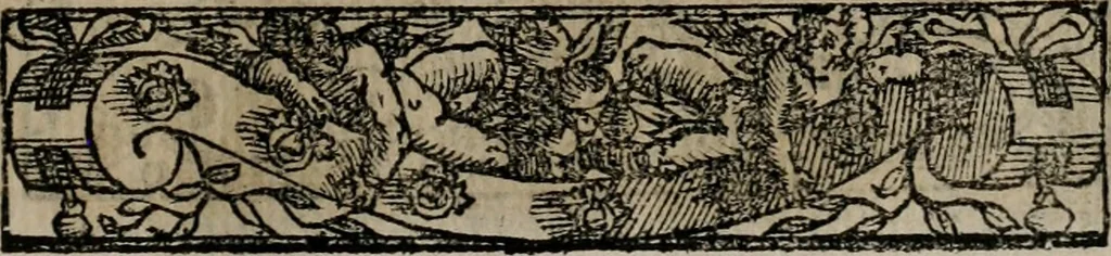 An illustration from Emblemas morales de Don Sebastian de Couarrubias Orozco ..., 1610, leaf 102