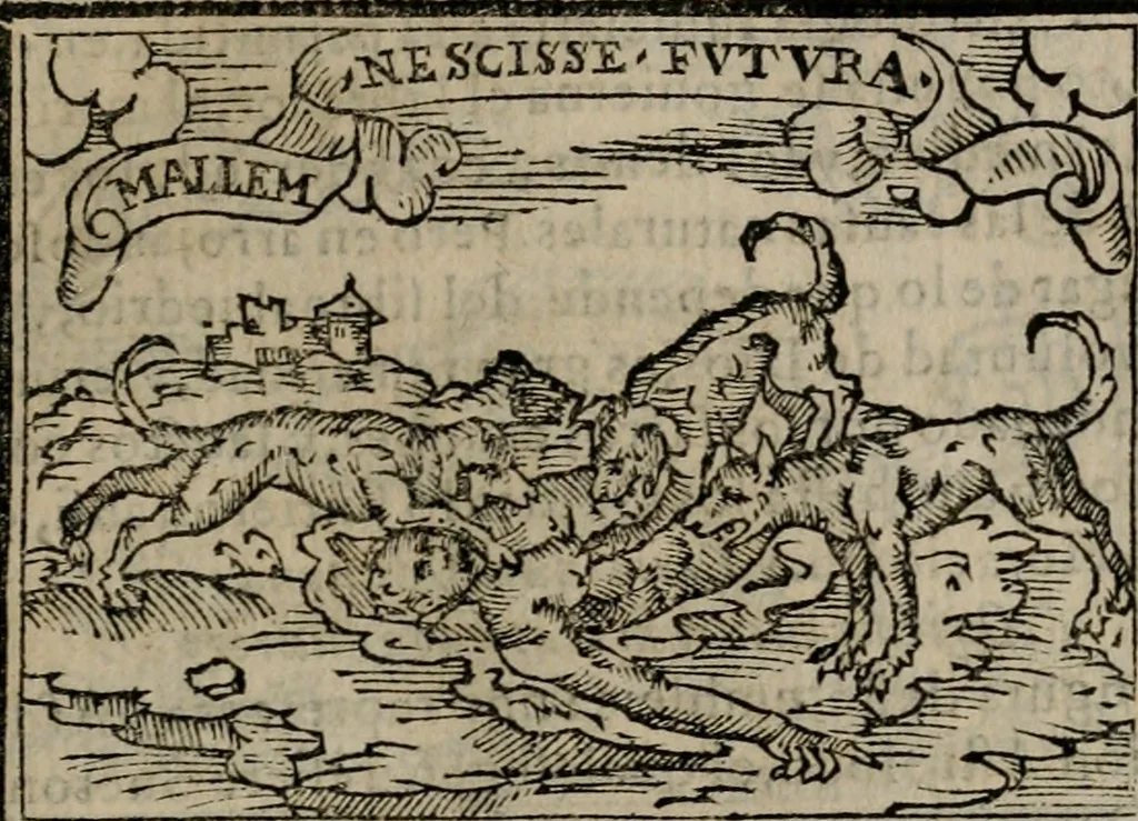 An illustration from Emblemas morales de Don Sebastian de Couarrubias Orozco ..., 1610, leaf 104