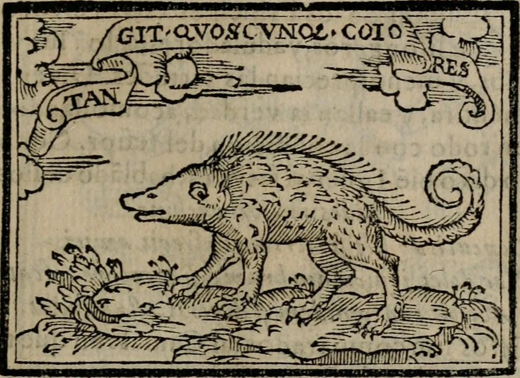 An illustration from Emblemas morales de Don Sebastian de Couarrubias Orozco ..., 1610, leaf 106