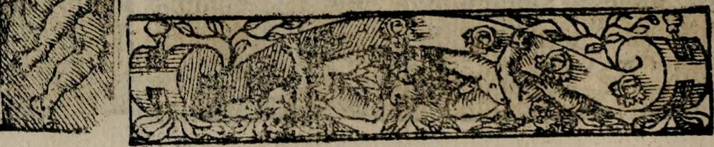 An illustration from Emblemas morales de Don Sebastian de Couarrubias Orozco ..., 1610, leaf 137