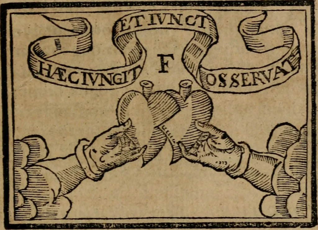 An illustration from Emblemas morales de Don Sebastian de Couarrubias Orozco ..., 1610, leaf 144