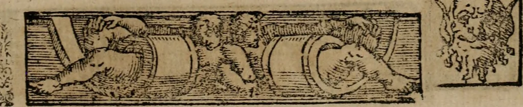 An illustration from Emblemas morales de Don Sebastian de Couarrubias Orozco ..., 1610, leaf 144