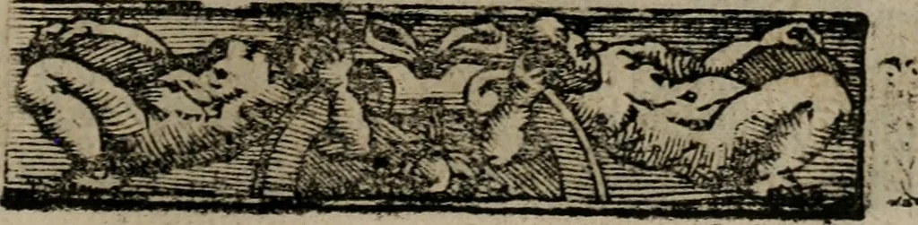An illustration from Emblemas morales de Don Sebastian de Couarrubias Orozco ..., 1610, leaf 146