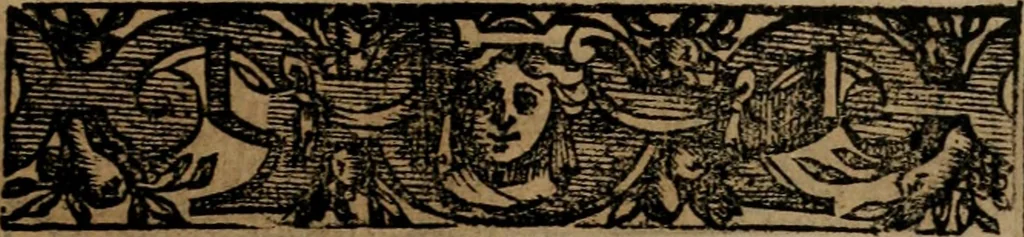An illustration from Emblemas morales de Don Sebastian de Couarrubias Orozco ..., 1610, leaf 156