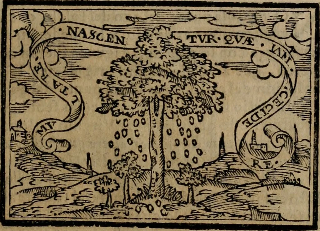 An illustration from Emblemas morales de Don Sebastian de Couarrubias Orozco ..., 1610, leaf 158