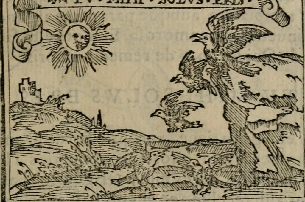An illustration from Emblemas morales de Don Sebastian de Couarrubias Orozco ..., 1610, leaf 162