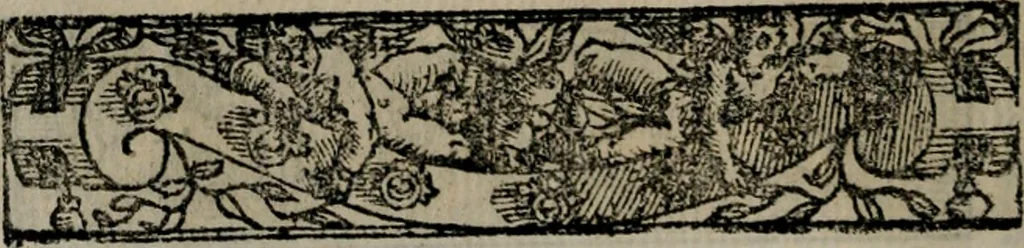 An illustration from Emblemas morales de Don Sebastian de Couarrubias Orozco ..., 1610, leaf 165