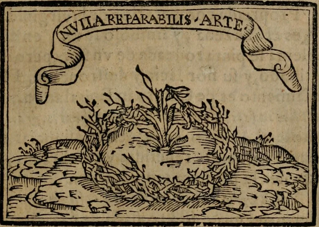 An illustration from Emblemas morales de Don Sebastian de Couarrubias Orozco ..., 1610, leaf 18