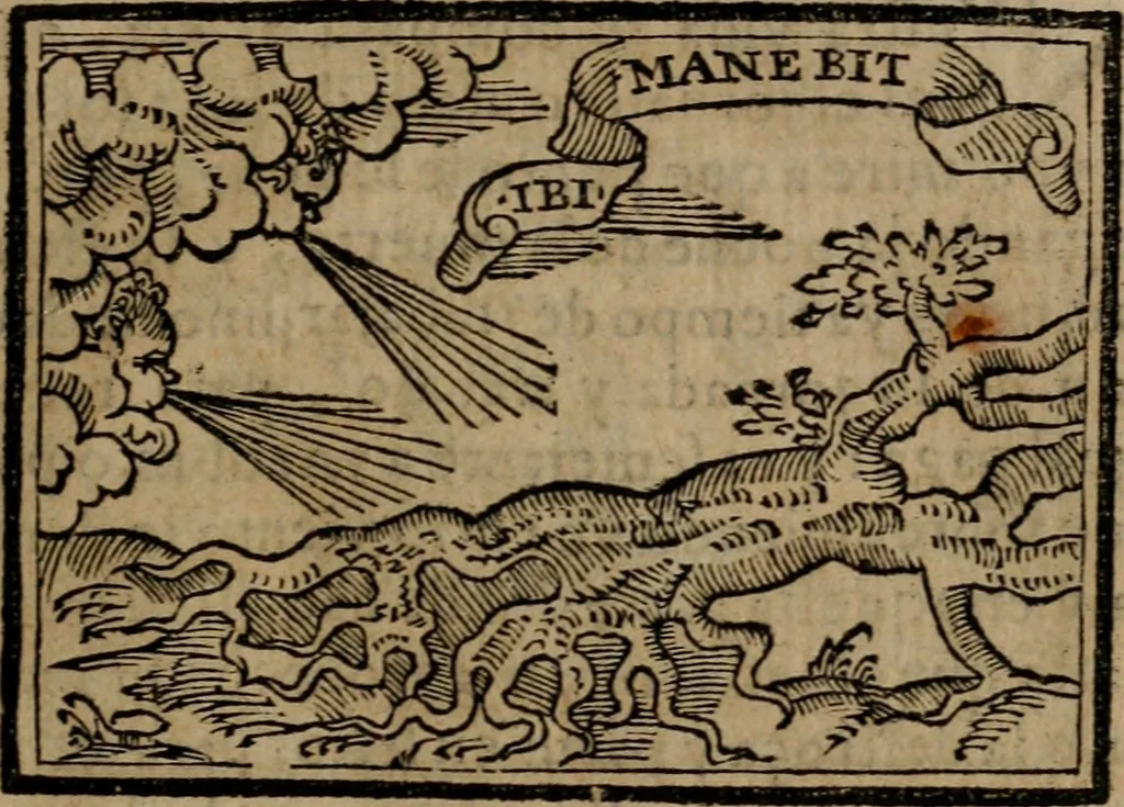An illustration from Emblemas morales de Don Sebastian de Couarrubias Orozco ..., 1610, leaf 20