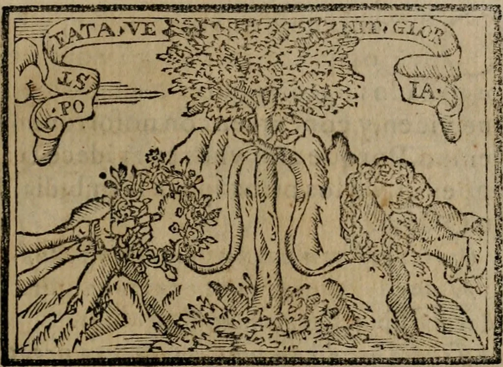 An illustration from Emblemas morales de Don Sebastian de Couarrubias Orozco ..., 1610, leaf 206