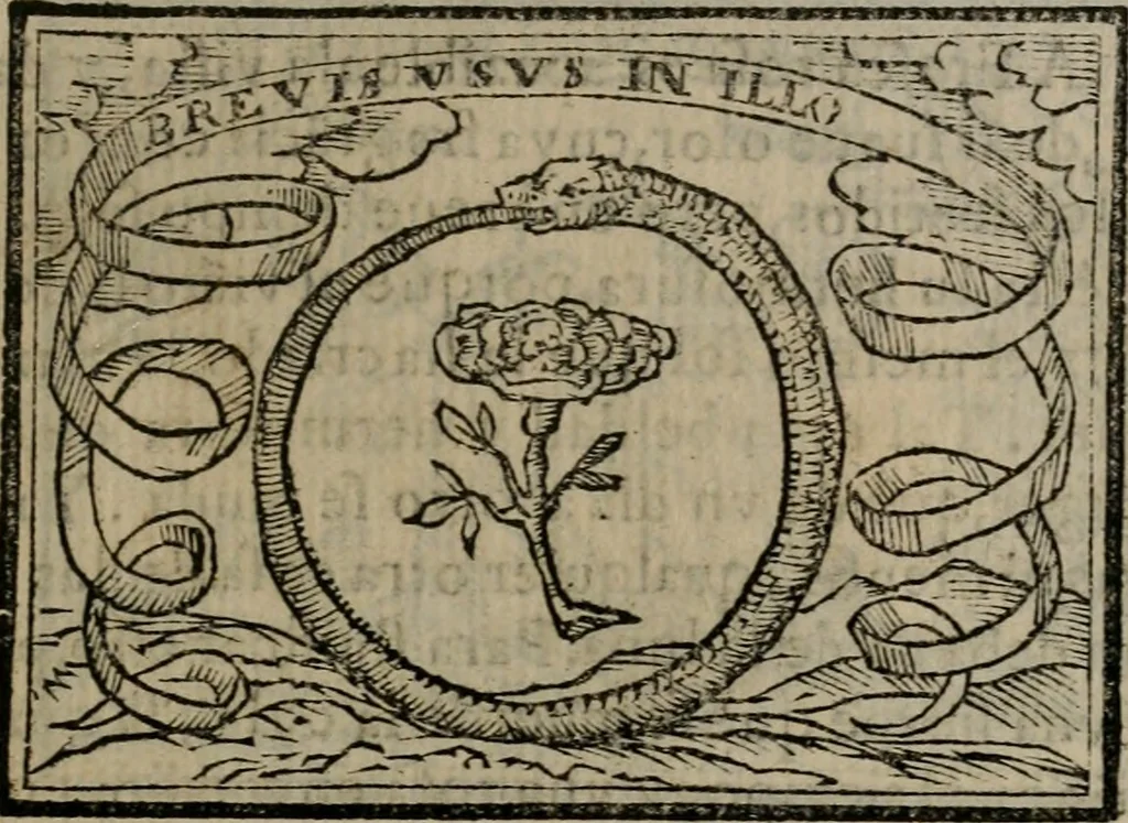 An illustration from Emblemas morales de Don Sebastian de Couarrubias Orozco ..., 1610, leaf 208