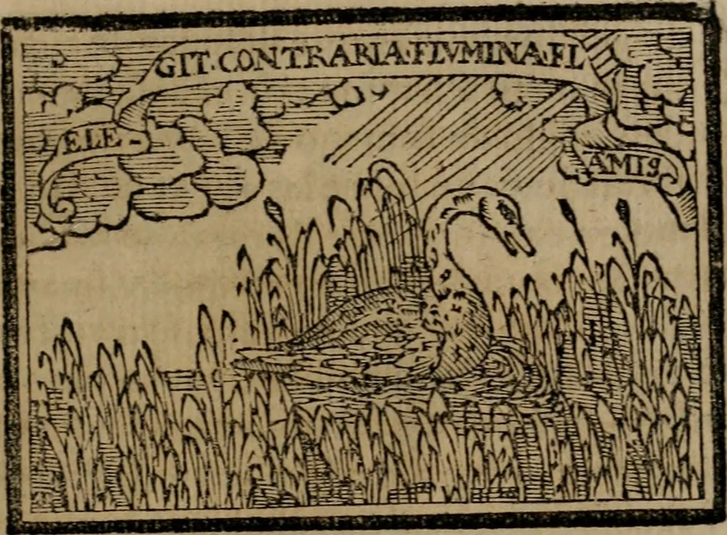 An illustration from Emblemas morales de Don Sebastian de Couarrubias Orozco ..., 1610, leaf 218