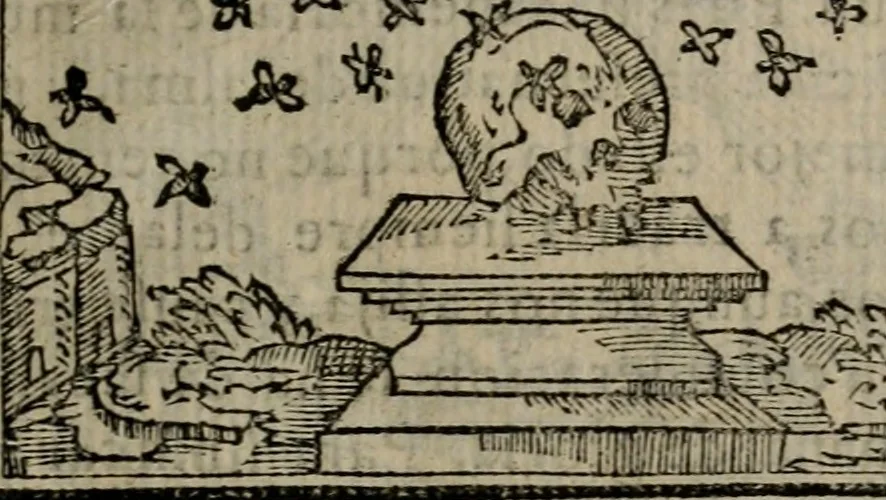 An illustration from Emblemas morales de Don Sebastian de Couarrubias Orozco ..., 1610, leaf 22