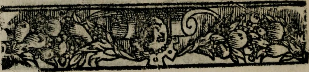 An illustration from Emblemas morales de Don Sebastian de Couarrubias Orozco ..., 1610, leaf 225