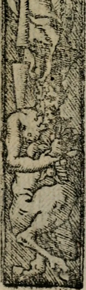An illustration from Emblemas morales de Don Sebastian de Couarrubias Orozco ..., 1610, leaf 238