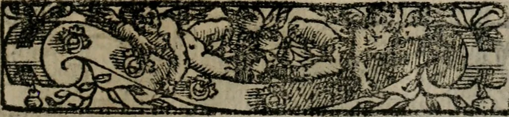 An illustration from Emblemas morales de Don Sebastian de Couarrubias Orozco ..., 1610, leaf 248