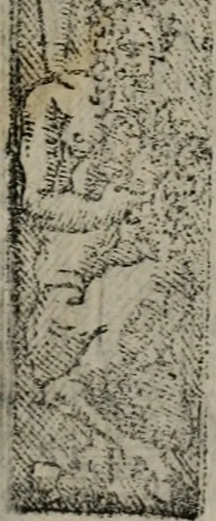 An illustration from Emblemas morales de Don Sebastian de Couarrubias Orozco ..., 1610, leaf 258