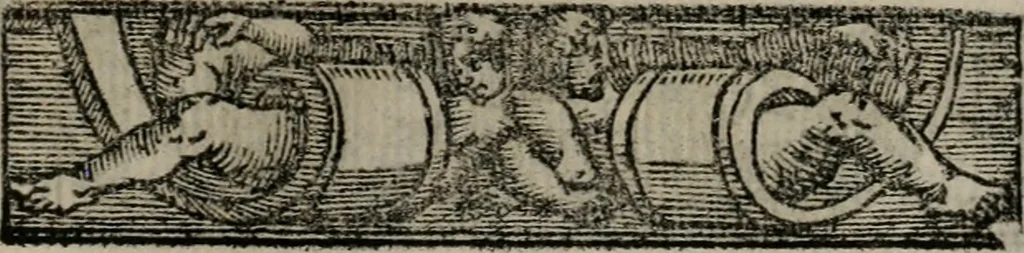 An illustration from Emblemas morales de Don Sebastian de Couarrubias Orozco ..., 1610, leaf 286