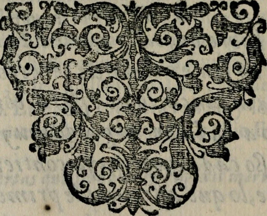An illustration from Emblemas morales de Don Sebastian de Couarrubias Orozco ..., 1610, leaf 289