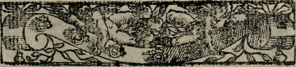 An illustration from Emblemas morales de Don Sebastian de Couarrubias Orozco ..., 1610, leaf 290