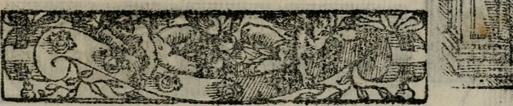 An illustration from Emblemas morales de Don Sebastian de Couarrubias Orozco ..., 1610, leaf 294